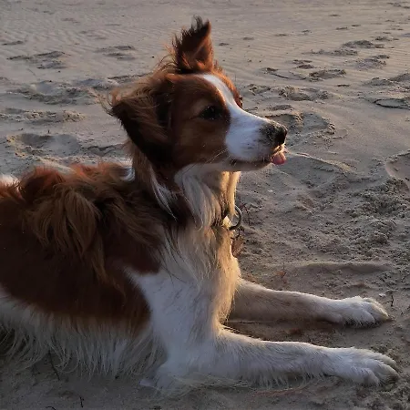 Stoertebeker Διαμέρισμα Zempin